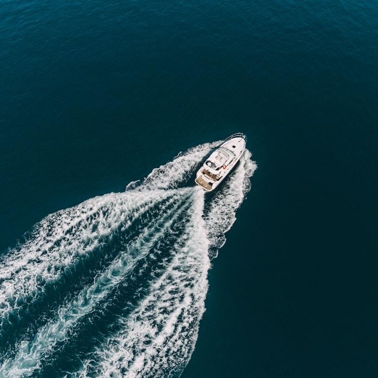 Aquatic fun